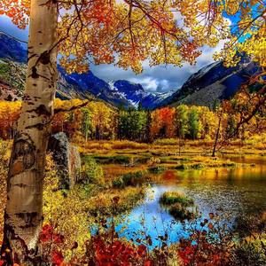 Meet your Posher, Erika